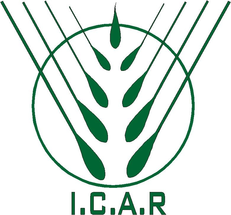 ICAR Logo.jpg